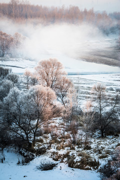 霧凇 雪景 冬天 自然奇觀 樹