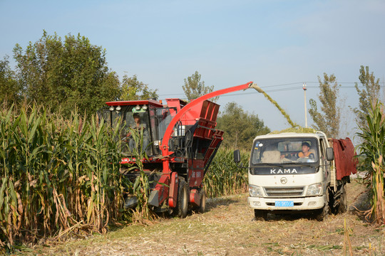 玉米收割機(jī)