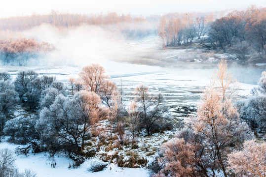 霧凇 雪景 冬天 自然奇觀 樹