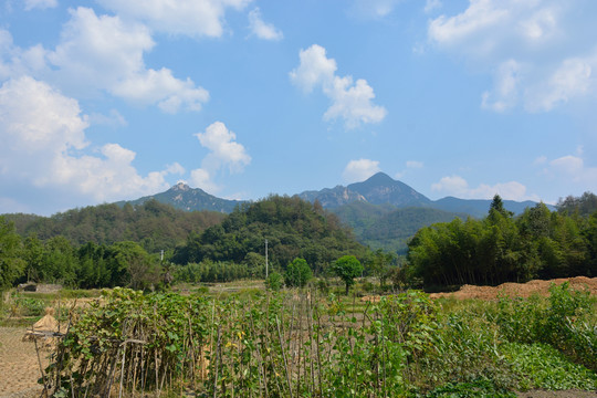 龍須山遠(yuǎn)眺