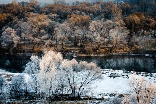 霧凇 雪景 冬天 自然奇觀 樹