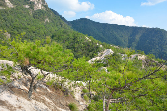龍須山
