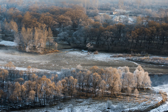 霧凇 雪景 冬天 自然奇觀 樹