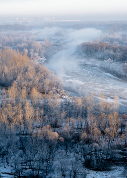 霧凇 雪景 冬天 自然奇觀 樹