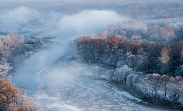 霧凇 雪景 冬天 自然奇觀 樹