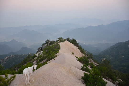 龍須山