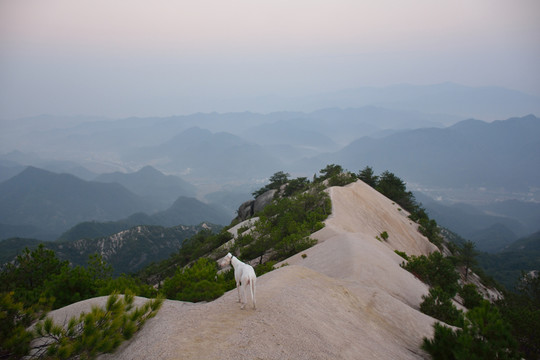 龍須山