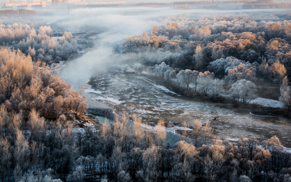 霧凇 雪景 冬天 自然奇觀 樹