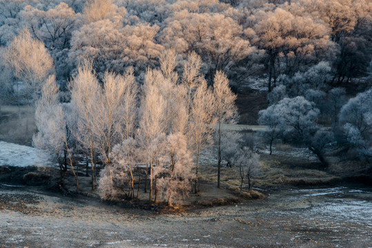 霧凇 雪景 冬天 自然奇觀 樹