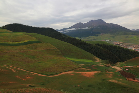 卓爾山