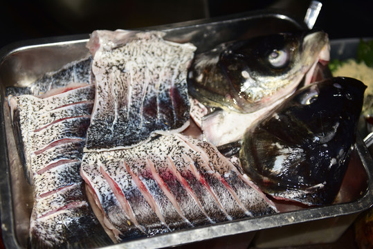 大頭魚(yú)