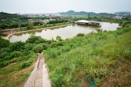 農(nóng)家樂(lè)