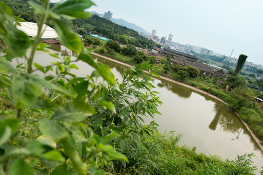 農(nóng)家樂