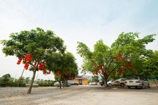 農(nóng)家樂
