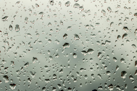 雨水 水珠 水滴 雨滴 露珠