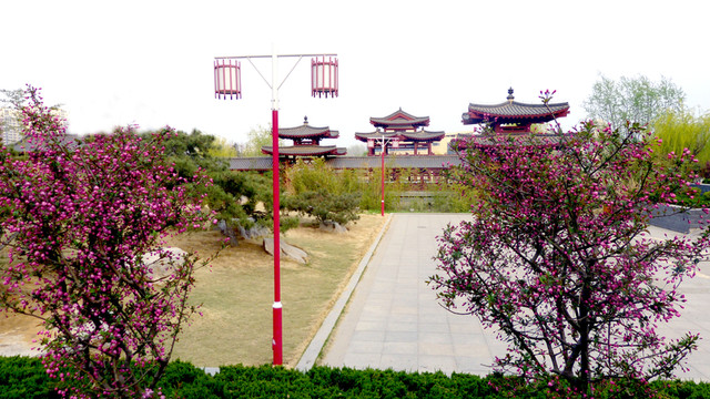 春天公園