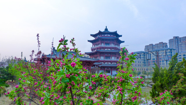 公園風(fēng)景 園林建筑