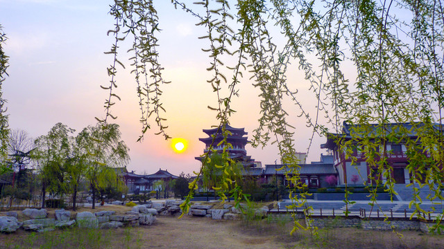 公園風(fēng)景