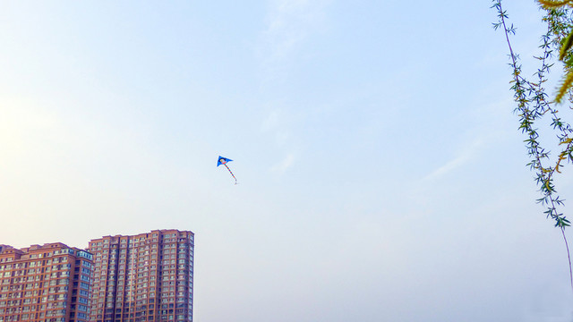 放風(fēng)箏  三月陽春