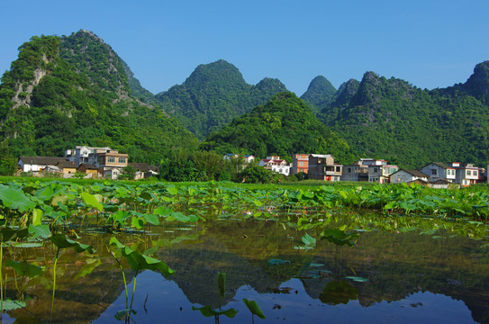 風(fēng)景