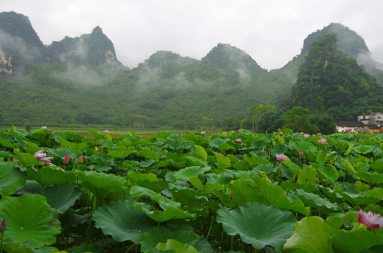 鄉(xiāng)村風景
