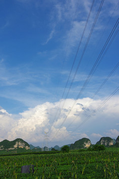 鄉(xiāng)村風景