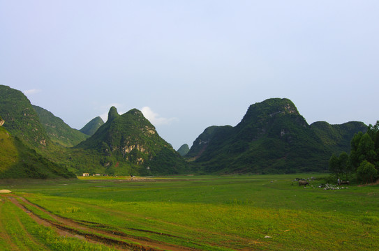 荒野