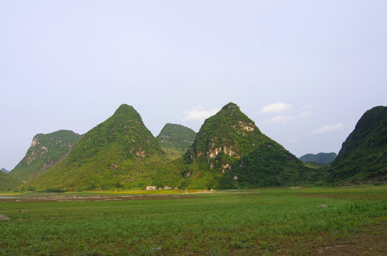 青山