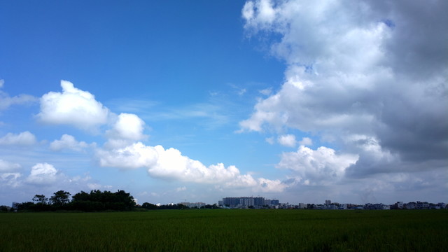 田野