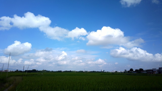 藍天田野