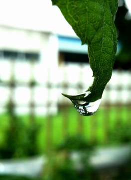 水滴