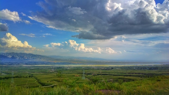郊野