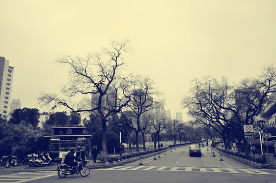 老照片杭州街景