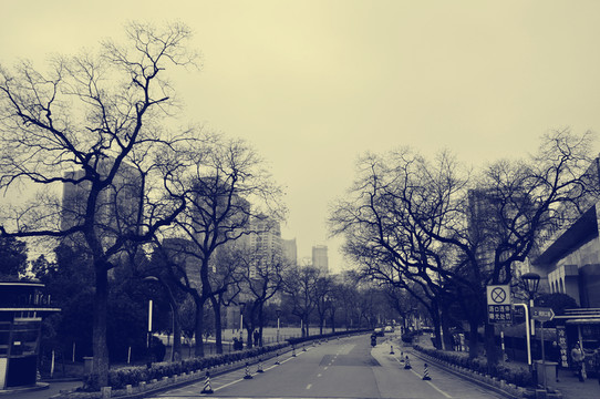 老照片杭州街景