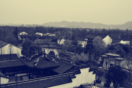 老照片西溪濕地