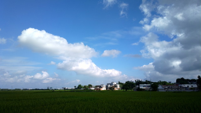 鄉(xiāng)村田野
