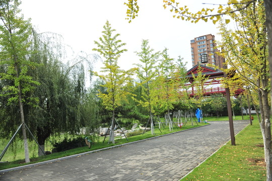 公園風(fēng)景 園林景觀