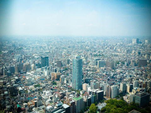 眺望東京