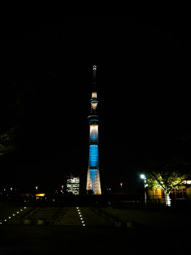 天空之樹夜景