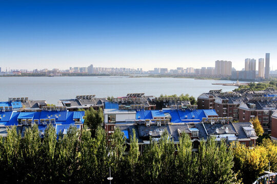 大慶 濱州胡 都市風光