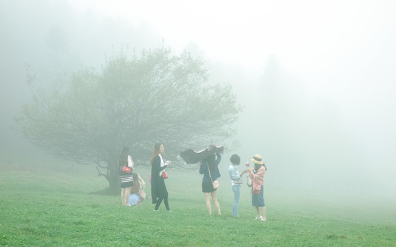 仙女山晨霧中的樹(shù)與女孩