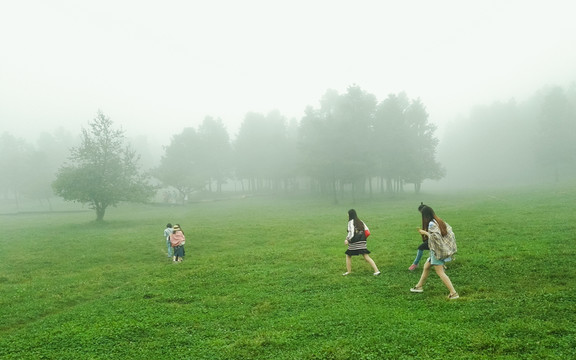 仙女山晨霧中的樹(shù)與女孩