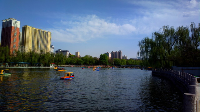 公園湖畔