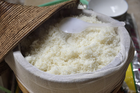 木蒸子米飯
