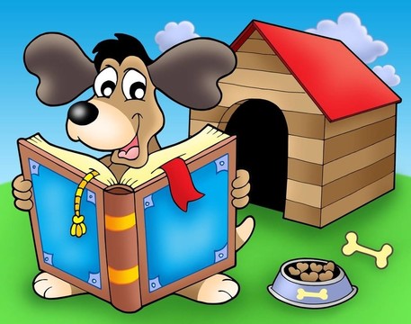 狗在前面的狗的书
