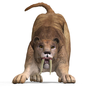 大貓sabbertooth