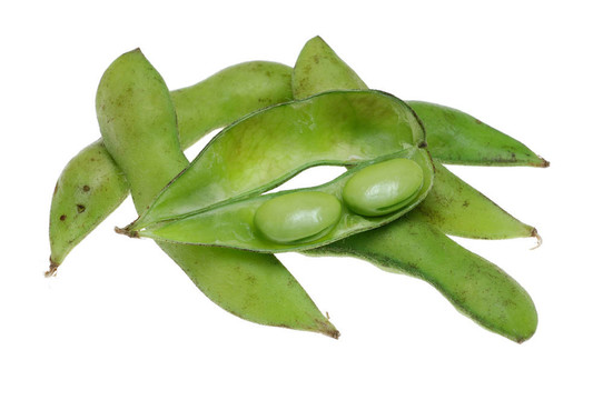 靠近毛豆