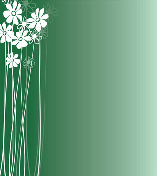 Flowers White 2