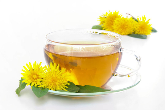 蒲公英茶02