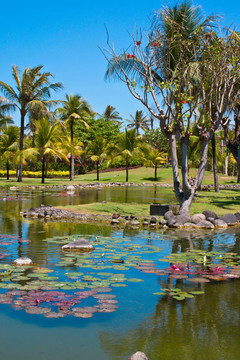 tropicval天堂花園